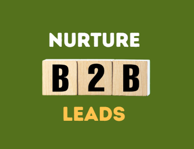Post-Webinar Strategies How to Nurture B2B Leads After the Event