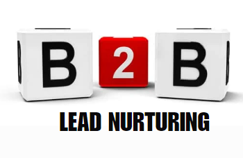 What is B2B Lead Nurturing